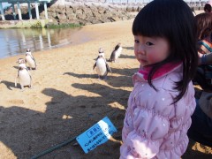 ペンギンとなっちゃん(P2100467)