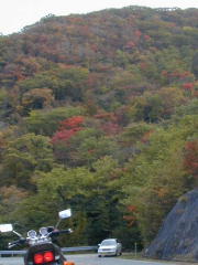 牧ノ戸峠の紅葉