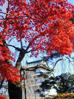 弘前城公園の紅葉