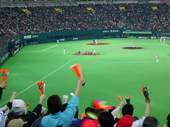 日本的野球観戦の図