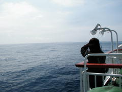 ケータ(聟島列島)を望む