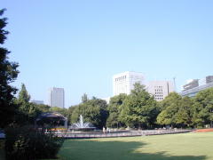 美しい日比谷公園の芝生