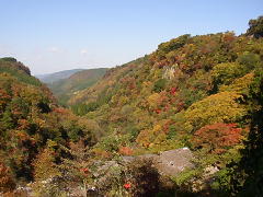 紅葉