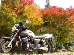 紅葉