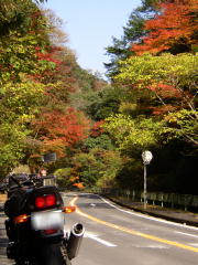 もみじ谷の紅葉