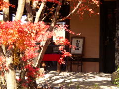 紅葉