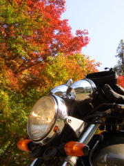もみじ谷の紅葉