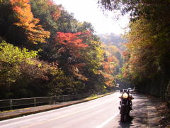 もみじ谷の紅葉