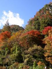 深耶馬溪の紅葉
