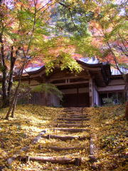 竈門神社の紅葉