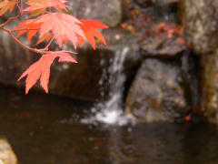 滝と紅葉