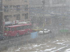吹雪いてます…