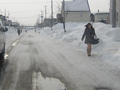 雪解けの道