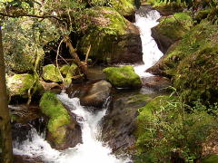 清水瀑園
