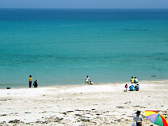 海水浴日和