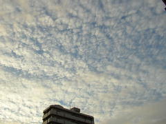 秋空！？