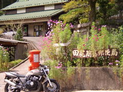 ポストとコスモス