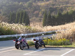 Zephyr,SRV,CBの3台が並ぶ