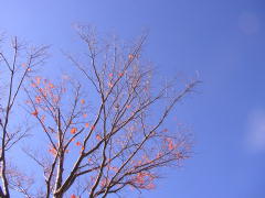 青空