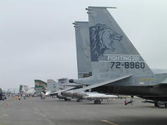 F15 FIGHTING201