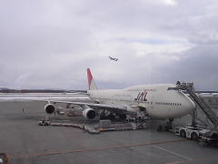 新JAL塗装のB747(p1300005.jpg)