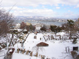 函館港を望む(p2010105.jpg)
