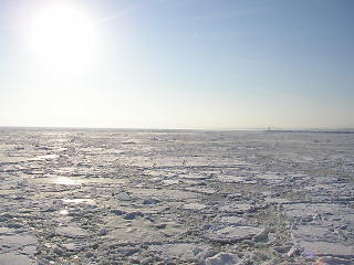 朝日に耀くオホーツク海の流氷(p2030178.jpg)