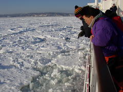 朝日に耀くオホーツク海の流氷(p2030200.jpg)