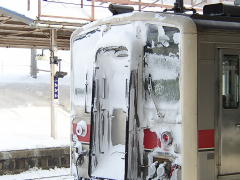 着雪した列車(p2060419.jpg)