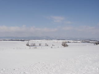 これぞ雪景色(p2070525.jpg)
