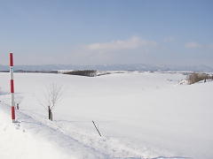 これぞ雪景色(p2070539.jpg)