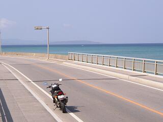 やんばる国道58号線(p2280068.jpg)