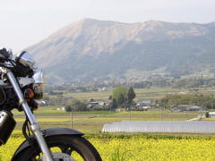 阿蘇山を望む