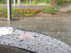 雨やどり