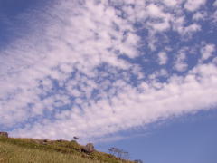 秋の青空