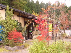 色付き始めた紅葉