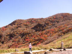 紅葉