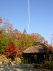 紅葉