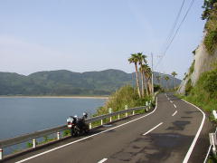 青い海が眩しい