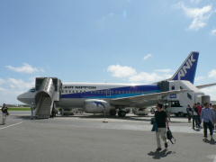 B737-500@石垣空港