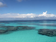 防波堤から観る海