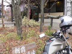 朝霧にて