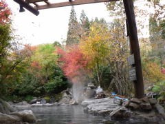 紅葉の露天風呂