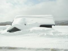 雪に埋った家