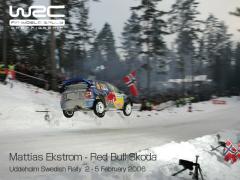 Mattias Ekstrom - Red Bull Skoda