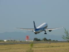 ANA機