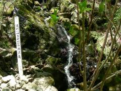源流点