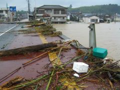 虎居橋に打ち揚げられた流木等，写真左は神園タクシー