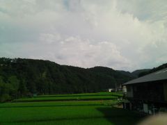 田んぼと夏空