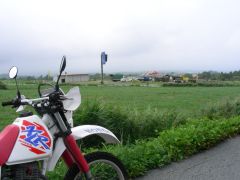 どんよりどんより